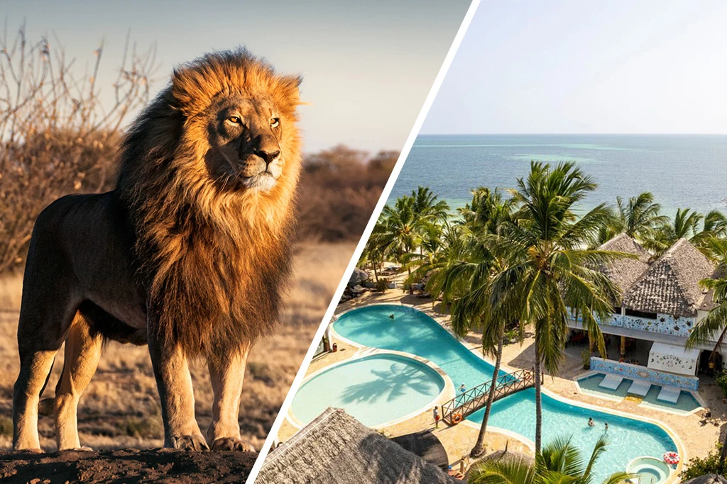 Hôtel Jaz Adonia Beach Resort