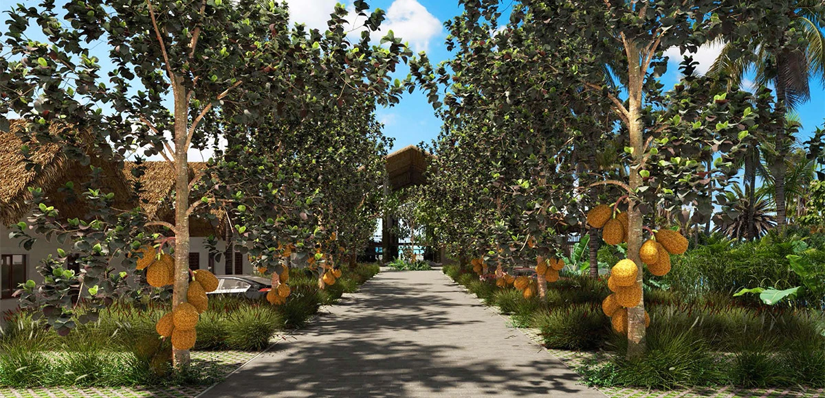 La plage du Hôtel Jaz Aurora Beach 5* + Safari 2 nuits