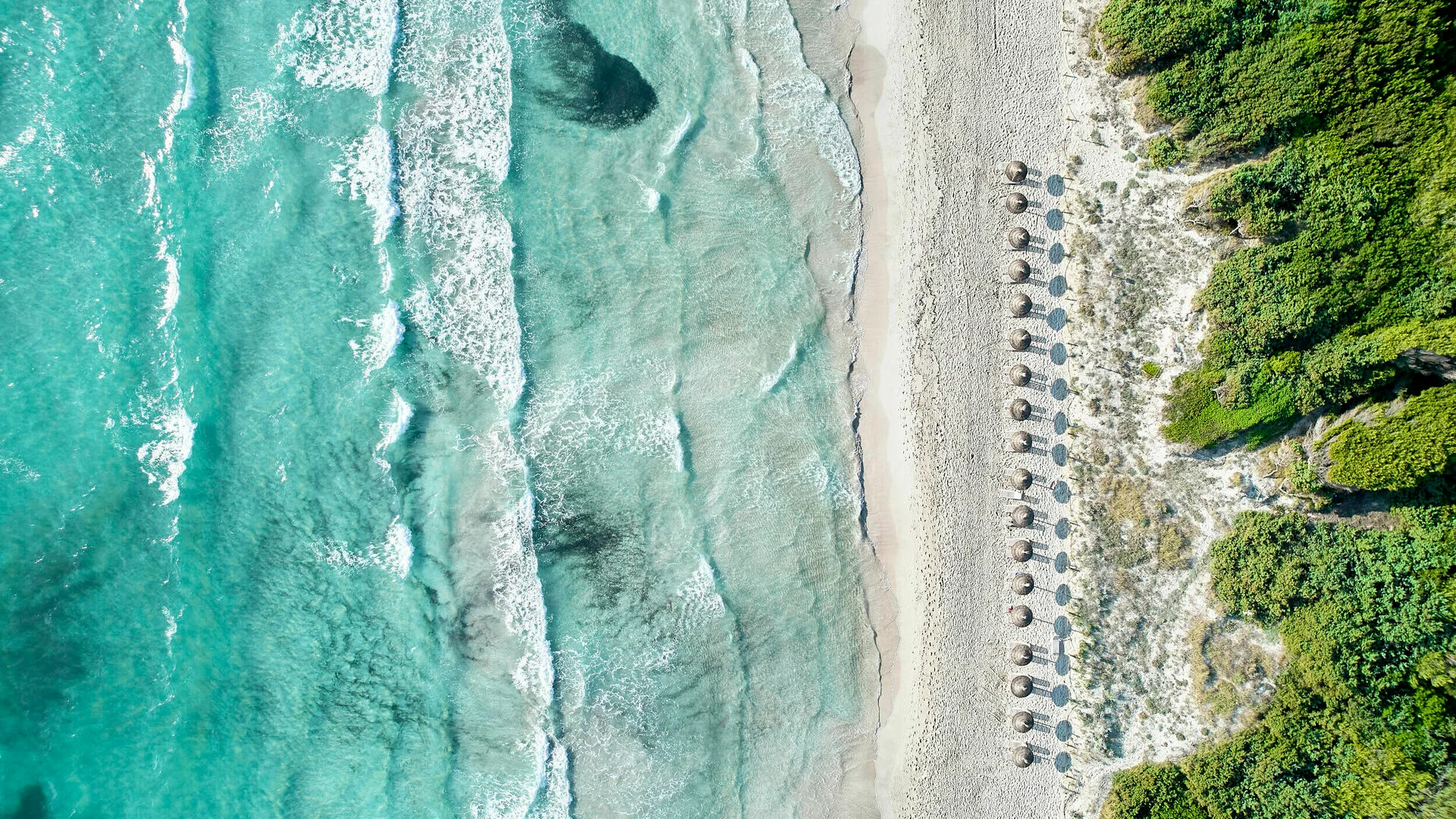 Iberostar Selection Albufera Park - À table, sans compter
